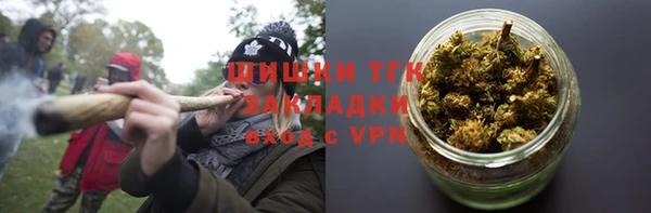 твердый Алексин