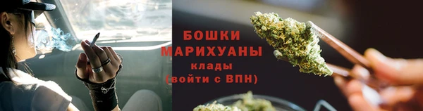 PSILOCYBIN Алексеевка