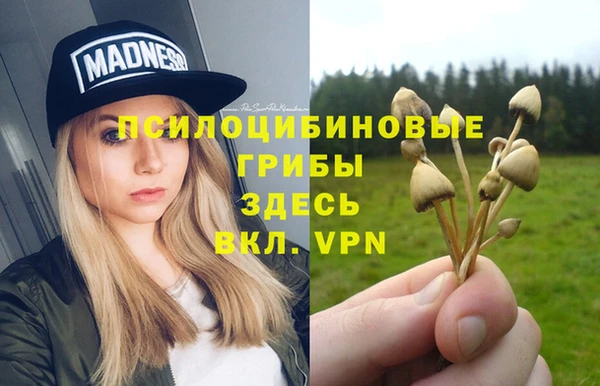PSILOCYBIN Алексеевка