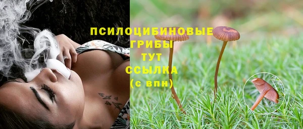 твердый Алексин