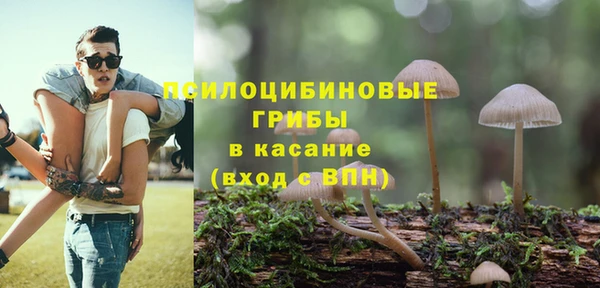 PSILOCYBIN Сатка