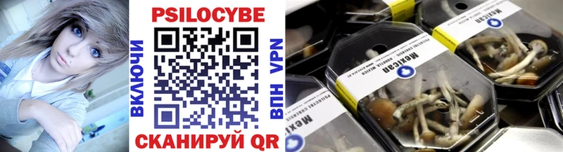 kraken вход Злынка Псилоцибиновые грибы мухоморы